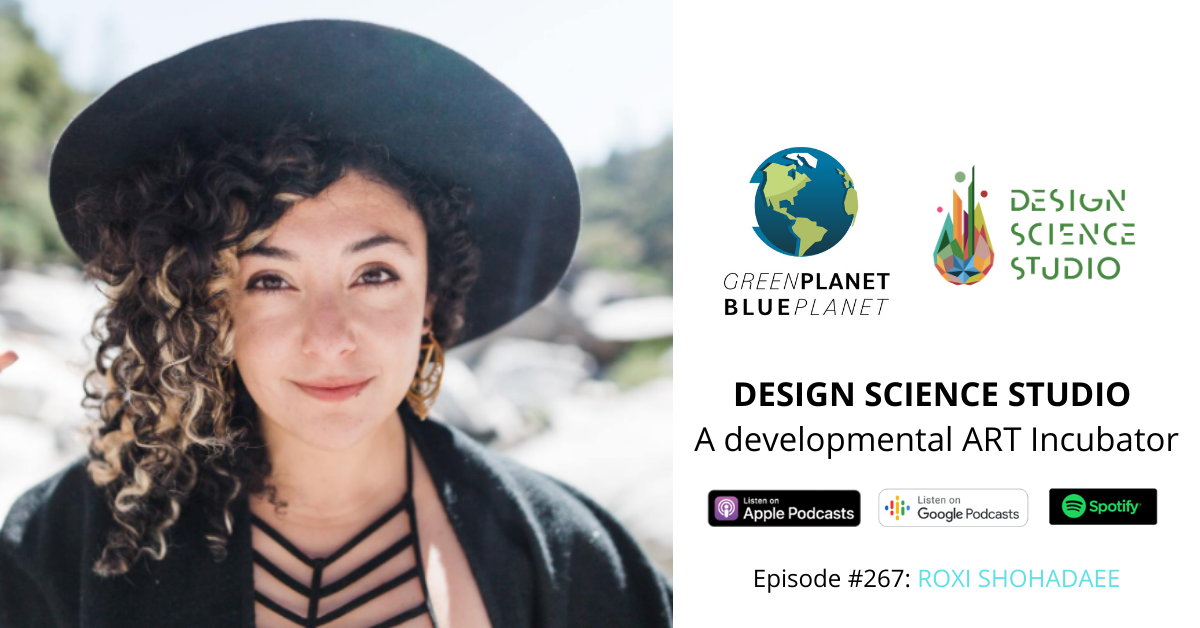 DSS Interview Series